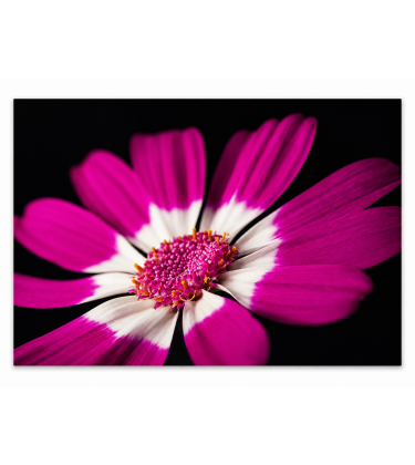 Plum Painted Canvas Wall Art