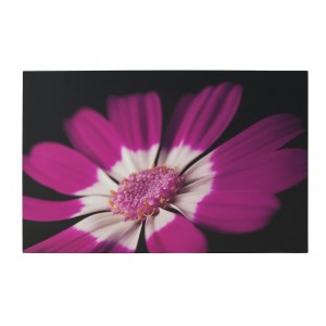 Plum Painted Canvas Wall Art