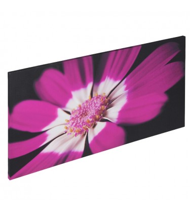 Plum Painted Canvas Wall Art