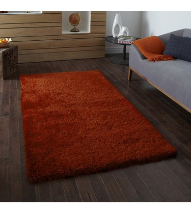 Artique Burnt Orange Rug