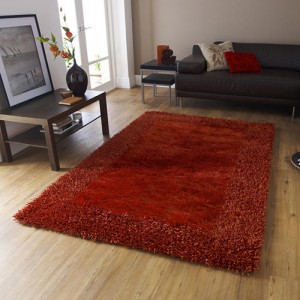 Sabby Extra Burnt Orange Rug