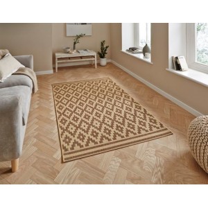 Tagge Brown Rug
