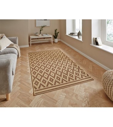 Tagge Brown Rug