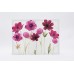 Purple Daisy Canvas Wall art