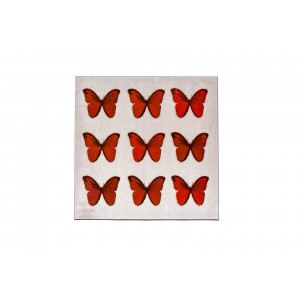 Butterfly Canvas Wall Art Red 